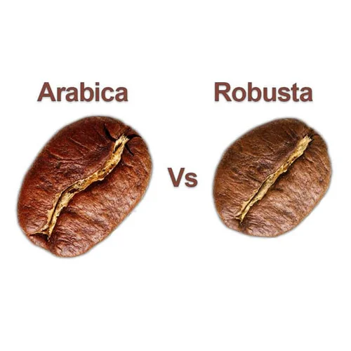 تفاوت بین قهوه عربیکا و روبوستا
