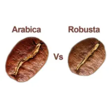 تفاوت بین قهوه عربیکا و روبوستا
