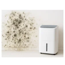 تاثیر رطوبت گیر بر بوی نم و رطوبت خانه