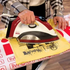 اتو دو حالته شارژی و سیم دار Livington آلمان