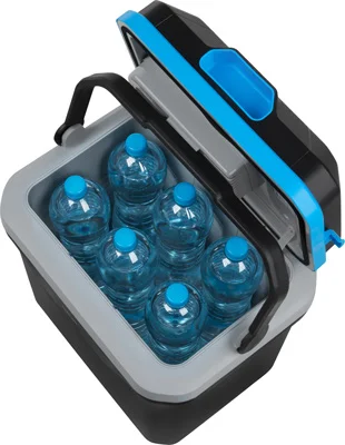 یخچال مسافرتی