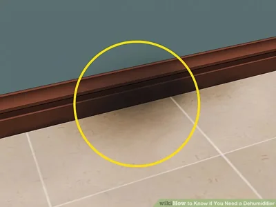 مضرات رطوبت