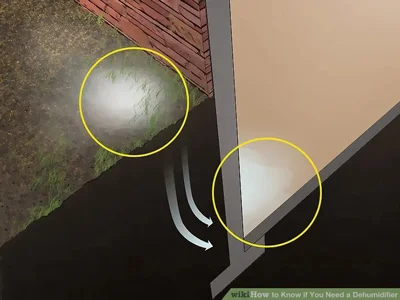 خسارت رطوبت