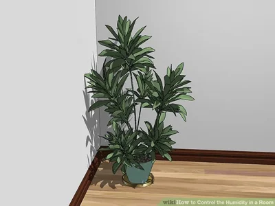 رطوبت استاندارد