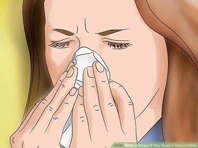 رطوبت و آلرژی