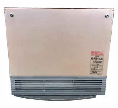 بخاری گازی ژاپنی 4000