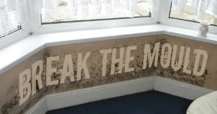 رطوبت و عوامل مخرب آن