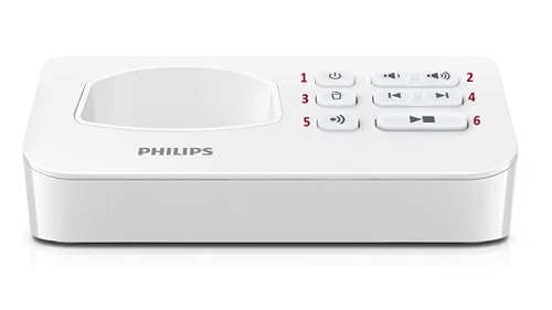 تلفن منشی دار