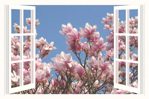 تهویه رطوبت 