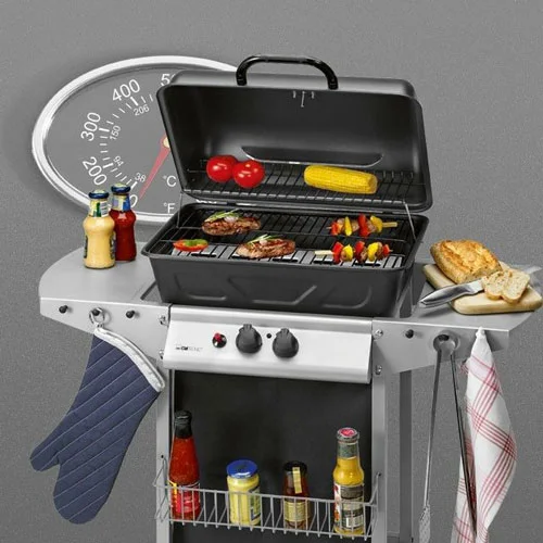 انواع باربیکیو