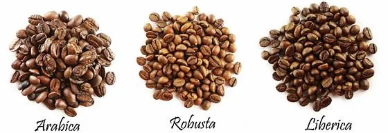 قهوه لیبریکا