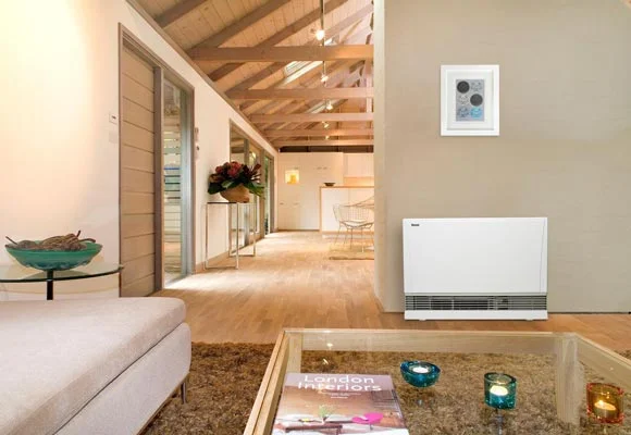 نمایی از بخاری گازی برقی ژاپنی