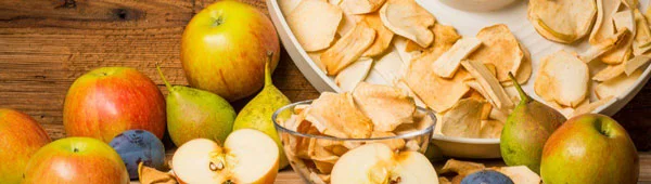 میوه خشک کن 