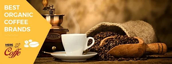 بهترین قهوه آماده  the best coffee instant