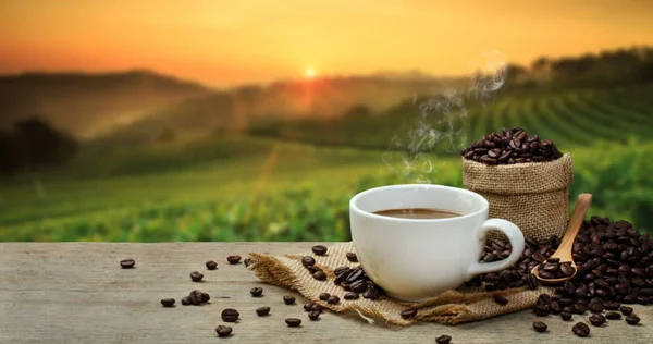 تهیه قهوه با قهوه جوش