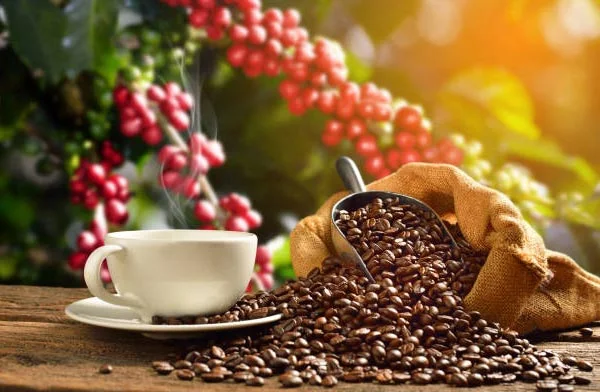 قهوه عالی