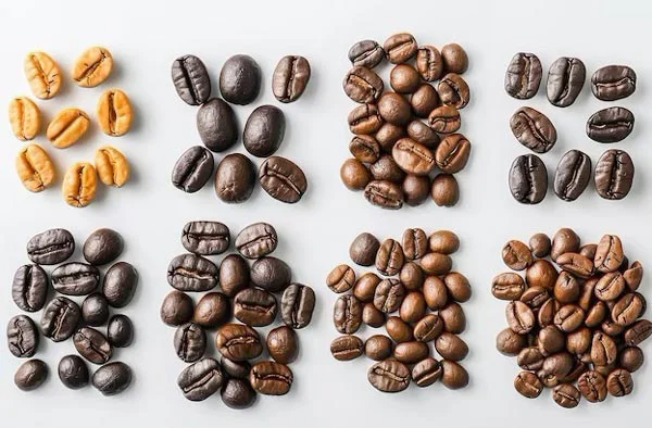 انواع دانه قهوه