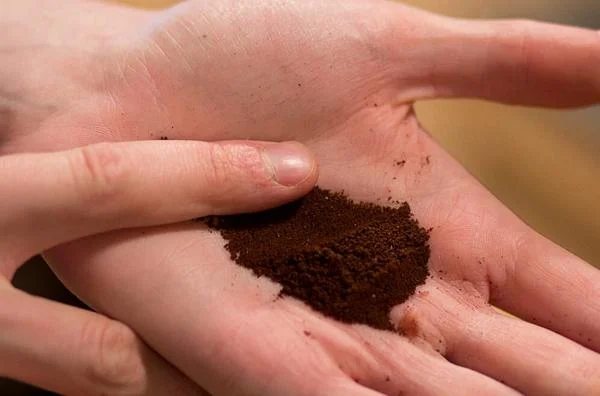 قهوه آسیاب شده