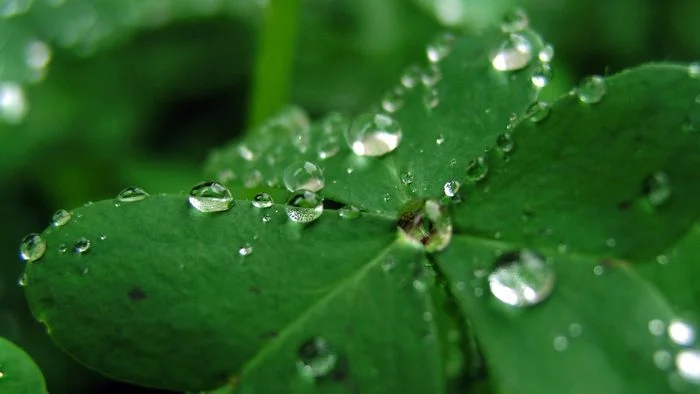 رطوبت و تاثیرات آن 