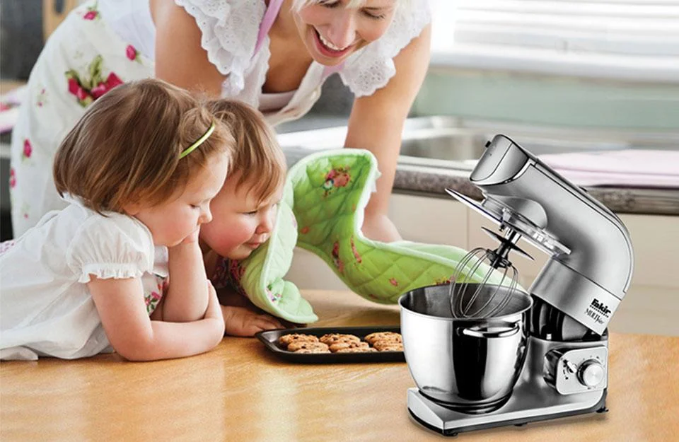 همزن حرفه ای چندکاره فکیرMULTIPLEX