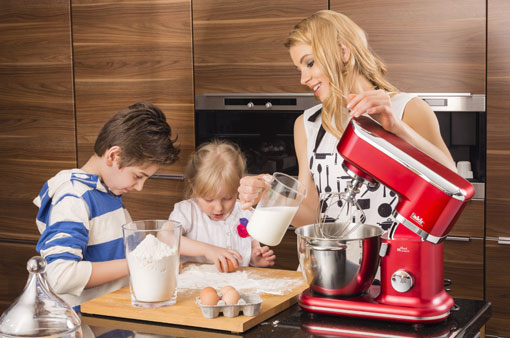 همزن پایه دارفکیر FOOD MASTER