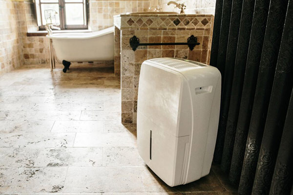 Dehumidifier